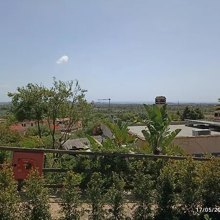 Erika House Is Molas