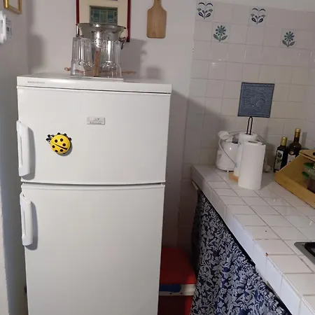 Erika House Is Molas Pula