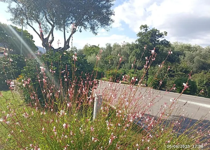 Villa Erika House Is Molas Pula