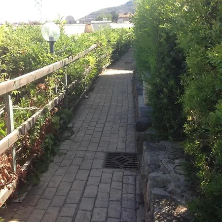 Erika House Is Molas 풀라