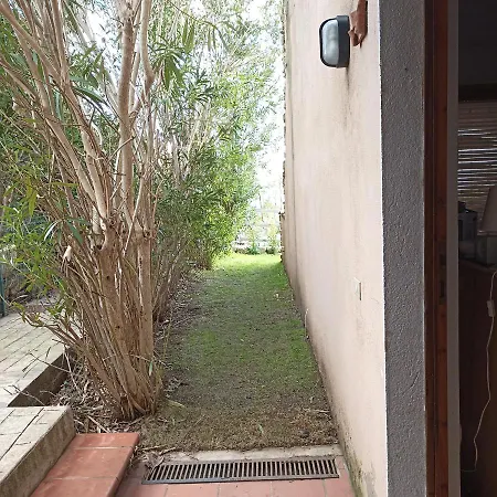 Erika House Is Molas *