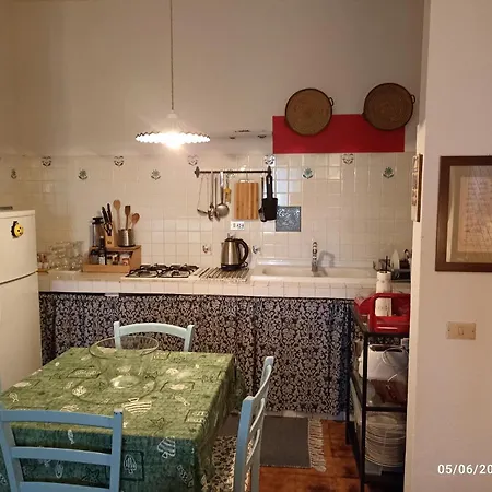 Erika House Is Molas *