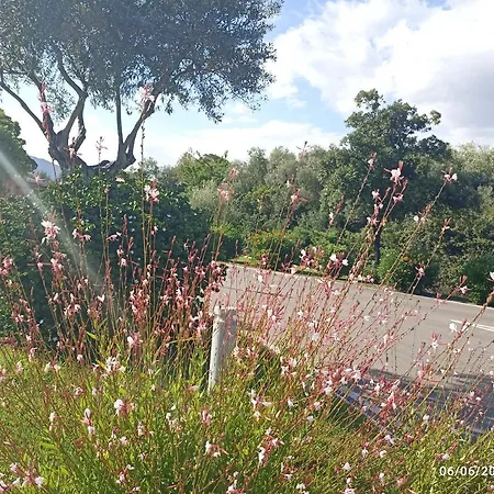 빌라 Erika House Is Molas 풀라