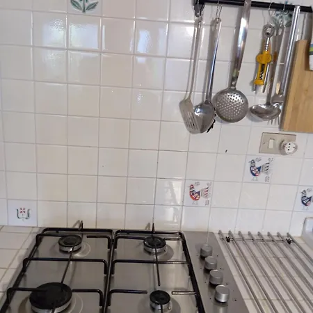 Erika House Is Molas * Pula