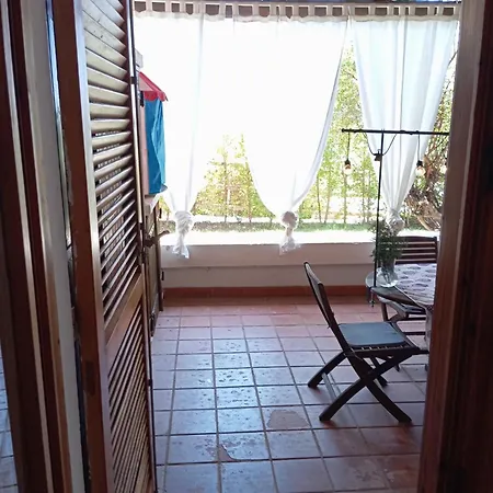 Erika House Is Molas