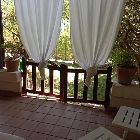 Erika House Is Molas *